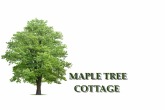 Maple Tree Cottage