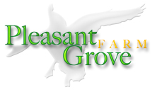 Pleasant Grove Inn LLC